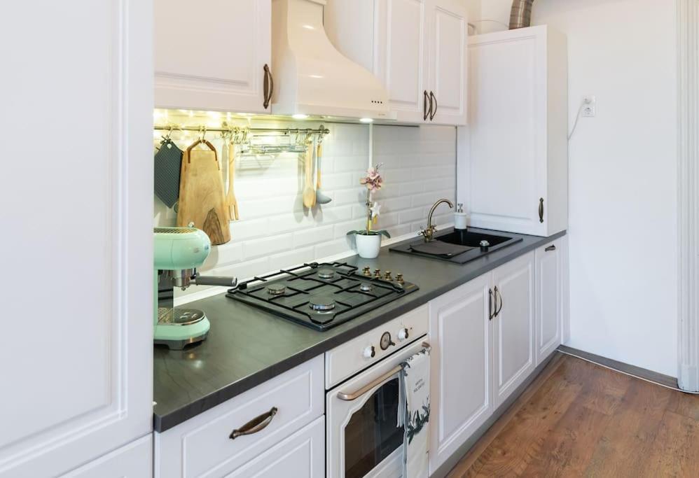 No.8: Lovely & Cosy 3-Room Heart Of The City Timişoara Exterior foto